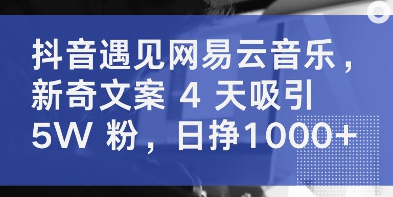 抖音×网易云音乐，4 天 5W 粉，新奇文案创作秘籍【必看】-创学笔记