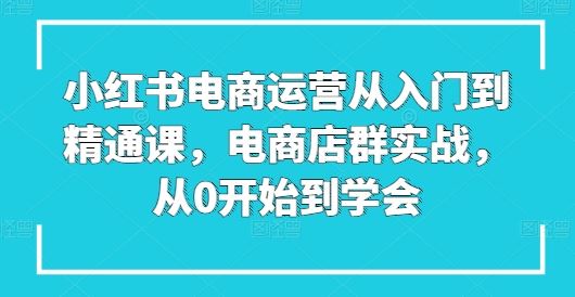 小红书电商运营从入门到精通课，电商店群实战，从0开始到学会-创学笔记
