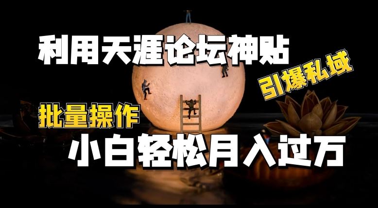 利用天涯论坛神贴，引爆私域，批量操作，小白轻松月入过w【揭秘】-创学笔记