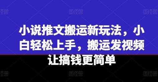 小说推文搬运新玩法，小白轻松上手，搬运发视频让搞钱更简单-创学笔记