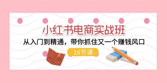 小红书电商实战班，从入门到精通，带你抓住赚钱风口（16节）-创学笔记