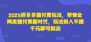 2025拼多多强付费玩法,带领全网走强付费新时代,玩法投入不超千元即可起店-创学笔记