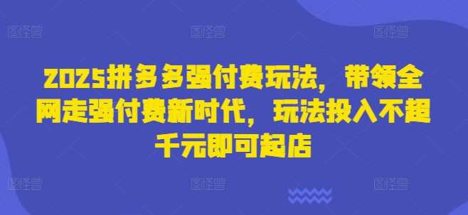 2025拼多多强付费玩法，带领全网走强付费新时代，玩法投入不超千元即可起店-创学笔记