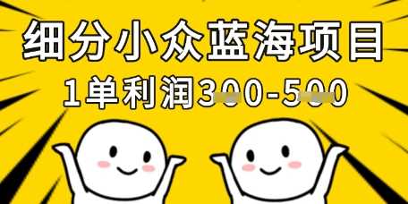 细分小众蓝海项目，一单利润3张，每月收入稳定过1w+-创学笔记