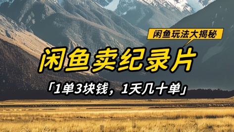 闲鱼卖纪录片1单3块钱，1天几十单，项目稳定有潜力-创学笔记