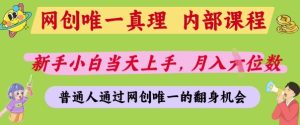 网创唯一真理,内部课程,新手小白当天上手,月入5位数,普通人通过网创唯一的机会【揭秘】-创学笔记