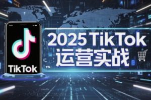 2025TikTok电商运营,掌握TikTok店铺运营核心技巧,实现低成本高转化-创学笔记