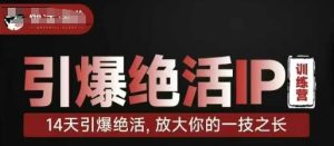 引爆绝活IP训练营,14天引爆绝活,放大你的一技之长-创学笔记