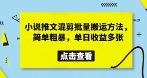 小说推文混剪批量搬运方法,简单粗暴,单日收益多张-创学笔记