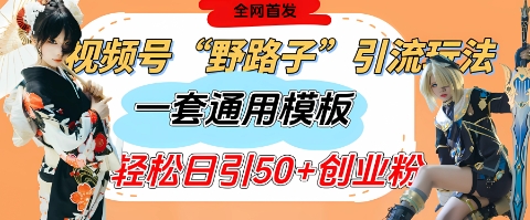 视频号“野路子”玩法，评论区疯狂截流，一套模板单日单号引流50+创业粉-创学笔记