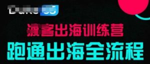 出海训练营基础课,跑通出海全流程,实战案例拆解-创学笔记