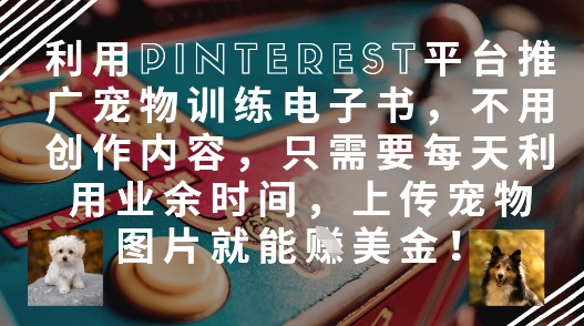 利用Pinterest平台推广宠物训练电子书，不用创作内容，只需要每天利用业余时间，上传宠物图片就能挣美金!-创学笔记