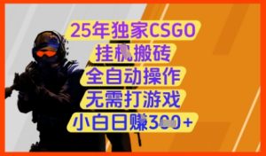 25年独家CSGO挂G搬砖，全自动操作，无需打游戏，小白日入3张+【揭秘】-创学笔记
