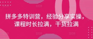 拼多多特训营,经验分享实操,课程时长拉满,干货拉满(更新25年4月)-创学笔记