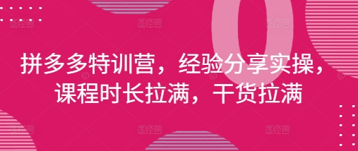 拼多多特训营，经验分享实操，课程时长拉满，干货拉满(更新25年4月)-创学笔记