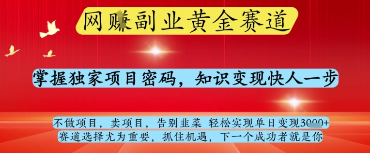网创副业黄全赛道，掌握独家项目密码，知识变现快人一步，告别韭菜轻松实现单日变现1k+【揭秘】-创学笔记