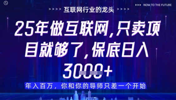 什么！25年你还在找项目做？风口早就变了，卖项目才是稳挣不赔【揭秘】-创学笔记