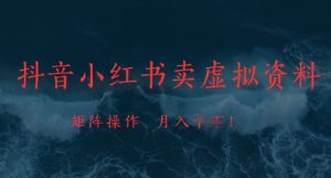 抖音小红书卖虚拟资料,市场需求一直存在,矩阵操作,月入1w+-创学笔记