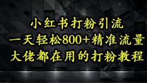 小红书打粉引流,一天轻松500+精准流量,大佬都在用的打粉教程-创学笔记