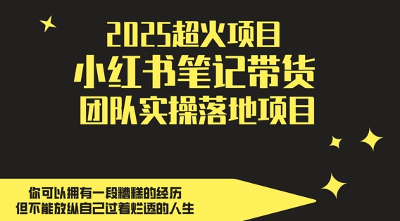 2025超火项目，副业最佳选择，小红书笔记带货团队实操落地项目，，轻松日入5张-创学笔记