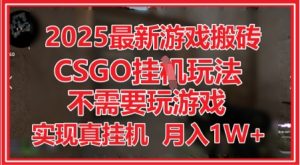 2025最新游戏搬砖，CSGO挂G，不需要玩游戏，实现真挂G，月入1W+【揭秘】-创学笔记