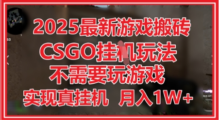 2025最新游戏搬砖，CSGO挂G，不需要玩游戏，实现真挂G，月入1W+【揭秘】-创学笔记