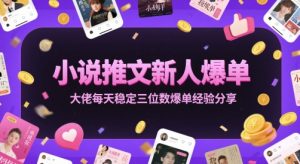 小说推文新人爆单大佬每天稳定三位数爆单经验分享-创学笔记