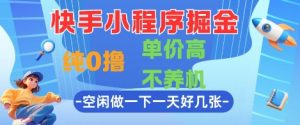 快手小程序掘金,纯0撸,单价高不养机 利用空闲时间做一做,一天好几张【揭秘】-创学笔记