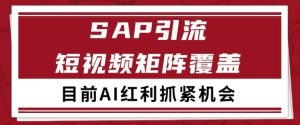 小红书某音sap赛道引流获客 自热矩阵日引200+【揭秘】-创学笔记