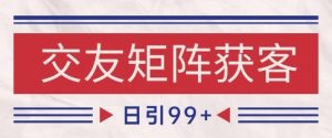 小红书某音交友赛道引流获客 自热矩阵日引200+【揭秘】-创学笔记