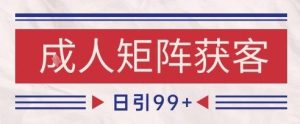 小红书某音橙人赛道引流获客,自热矩阵日引200+【揭秘】-创学笔记