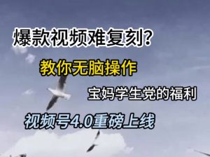 视频号4.0重磅上线,爆款视频难复刻?教你无脑操作宝妈学生党的福利【揭秘】-创学笔记