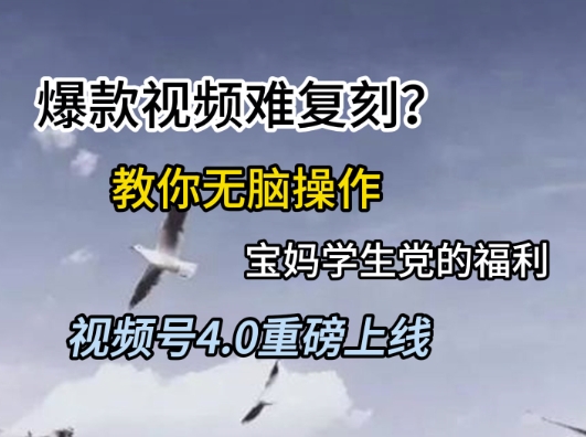 视频号4.0重磅上线，爆款视频难复刻？教你无脑操作宝妈学生党的福利【揭秘】-创学笔记