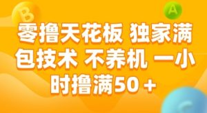 零撸天花板,独家满包技术 不养机 一小时撸满50+【揭秘】-创学笔记
