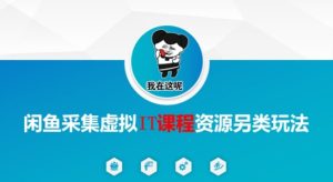 闲鱼采集虚拟IT课程资源另类玩法,干货满满-创学笔记