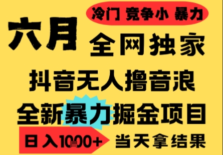 25年6月高爆抖音无人直播最新撸音浪掘金项目，小白可做，无脑日入1k+，门槛低可批量矩阵【揭秘】-创学笔记
