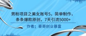 男粉项目之美女账号5,简单制作,条条爆款原创,7天引流5000+-创学笔记