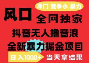 25年6月高爆抖音无人直播最新撸音浪掘金项目，解放双手小白可做，无脑日入1k+，门槛低【揭秘】-创学笔记