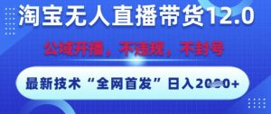 淘宝无人直播带货12.0,最新技术,不封号,不违规,操作简单,开播爆单,日入多张【揭秘】-创学笔记
