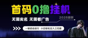 首码0撸挂G项目,无需实名无需看广告 一键启动运行,小白轻松日入三位数【揭秘】-创学笔记