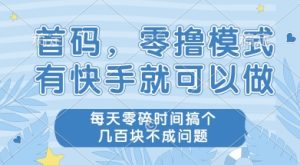 首码零撸项目,有快手就可以做,每天业务时间搞个几张不是问题【揭秘】-创学笔记