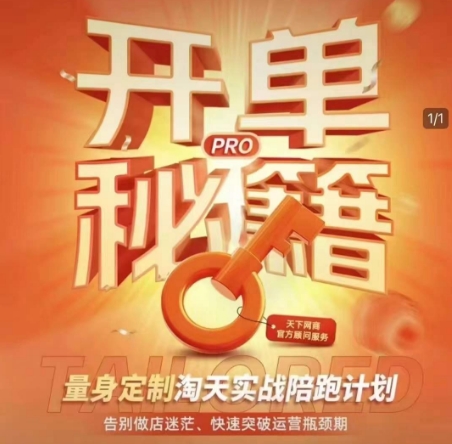 淘宝开单秘籍PRO，量身定制淘天实战陪跑计划，告别做店迷茫、快速突破运营瓶颈期（更新6月）-创学笔记