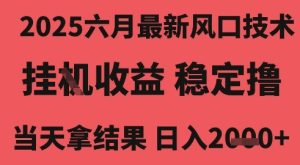 2025六月最新风口技术,无人挂G撸礼物,长期稳定 一个小时收益2k+,小白当天拿结果【揭秘】-创学笔记