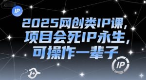 2025网创类IP课，项目会死IP永生，可操作一辈子-创学笔记