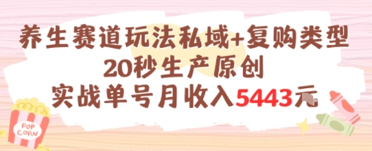 养生赛道玩法私域+复购类型，20秒生产原创实战单号月收入5k+-创学笔记