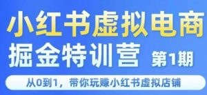 小红书虚拟电商掘金特训营第1期,从0到1,带你玩转小红书虚拟店铺-创学笔记