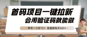 首码项目一键拉新,会用验证码就能做 单号一小时70+,批量做每天5张【揭秘】-创学笔记