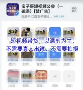 宝子哥头部团队短视频带货，以混剪为主，不需要真人出镜，不需要拍摄【更新6月】-创学笔记
