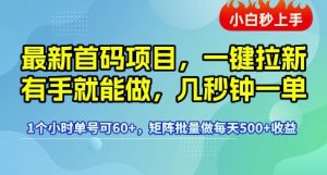最新首码项目,一键拉新有手就能做,几秒钟一单,1个小时单号可60+,矩阵批量做每天5张【揭秘】-创学笔记