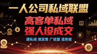 一人公司私域联盟，高客单私域，强人设成交，建私域 搞发售 广结盟 造势能-创学笔记